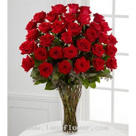 30 Red Roses